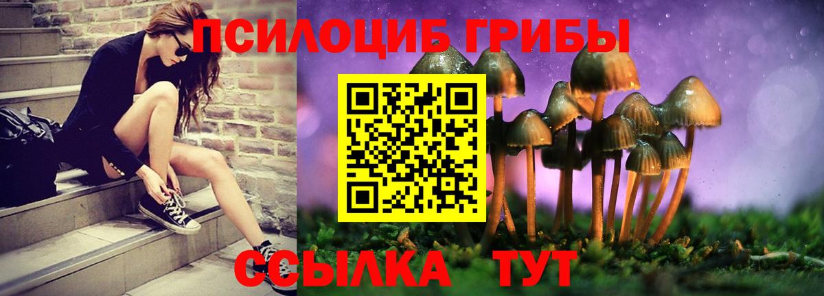 Псилоцибиновые грибы GOLDEN TEACHER  Вход с VPN  Электрогорск 